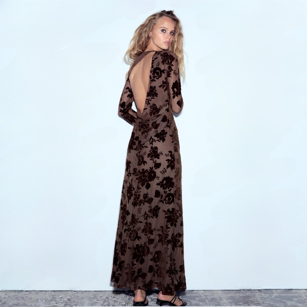 ZARA Long Floral Flocked Tulle Maxi Dress Open Back In Mink - Picture 8 of 13